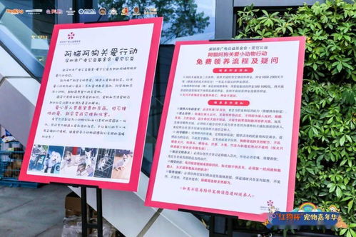 長期代理銷售伯納天純 正品保障，天天優惠，接單即發